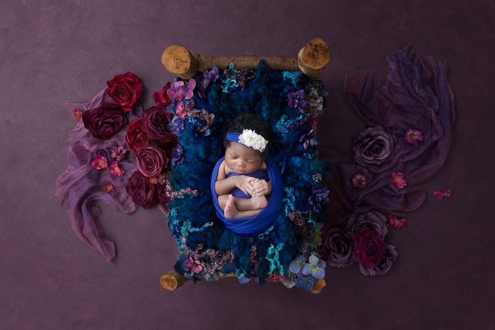 newborn photographer washingon dc
