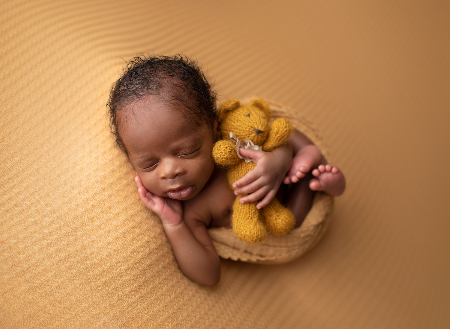 Twin Baby Photography | Baltimore Newborn Photographer