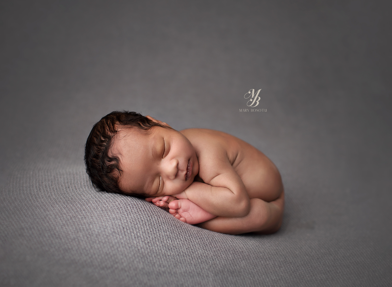 best newborn photography baltimore md