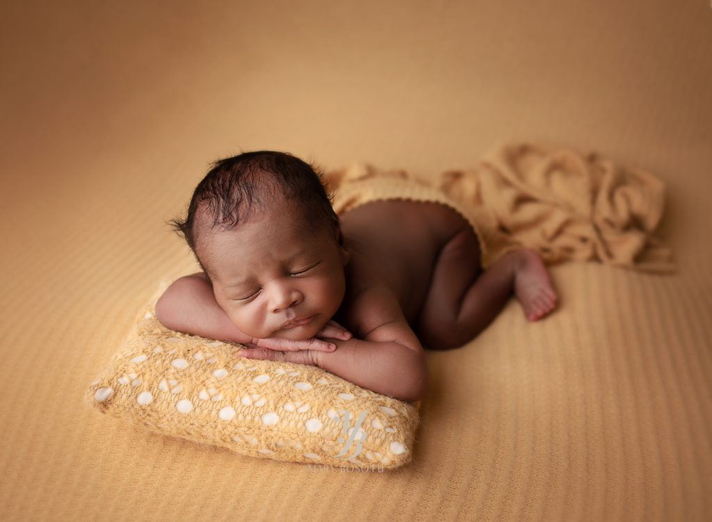 newborn portraits baltimore md